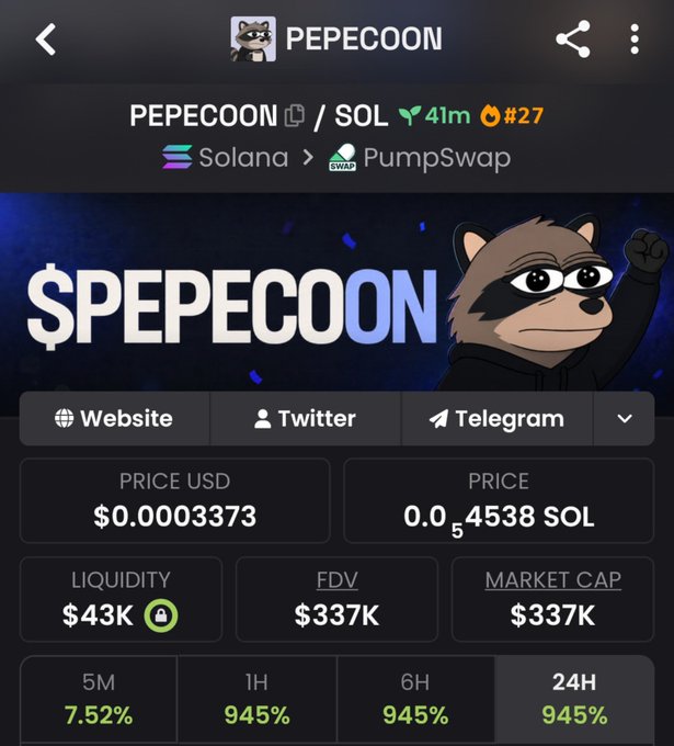 A screenshot of the PEPECOON token page on Solana/PumpSwap shows a price of $0.0003373 with a market cap of $337K and 945% gains over the 1H, 6H, and 24H periods. The image displays the cartoon raccoon mascot and key trading metrics that correspond to the post's claim of 9x performance and $337K market cap for $PEPECOON.