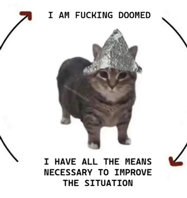 A gray cat wears a tin foil hat, surrounded by a circular cycle showing "I AM FUCKING DOOMED" at the top and "I HAVE ALL THE MEANS NECESSARY TO IMPROVE THE SITUATION" at the bottom. The image humorously captures the crypto poster's conflicted mindset of feeling doomed about market conditions while still possessing the resources (and willingness to airdrop SOL) to potentially turn things around.