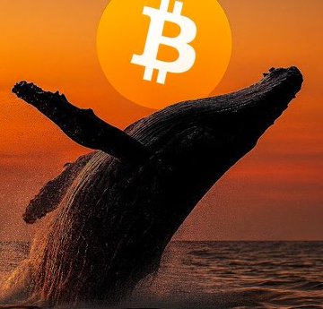 A silhouette of a breaching whale against an orange sunset sky with a Bitcoin logo (₿) displayed prominently in the upper portion of the image.
