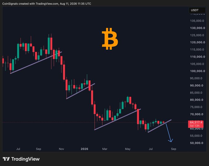 A weekly BTC/USD candlestick chart shows Bitcoin trading sideways near the $64,317.4 level, with an arrow pointing down toward $53,000 in September, illustrating a potential breakdown from a key ascending trendline that has held support since early 2026. The chart, sourced from CoinSignals and TradingView (dated Aug 11, 2026), visualizes the bearish scenario where a break below the trendline could trigger a significant drop.