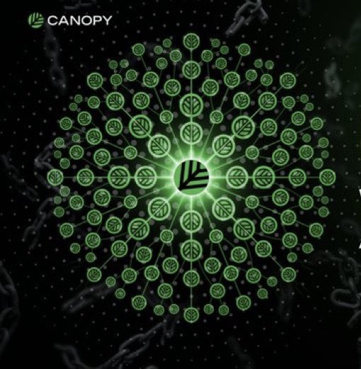 The image features the "CANOPY" logo in the top left corner alongside a glowing green network visualization of interconnected leaf-like nodes radiating from a central hub, visually reinforcing the post's message about @CNPYNetwork building foundational infrastructure to help crypto projects sustain themselves long after launch.