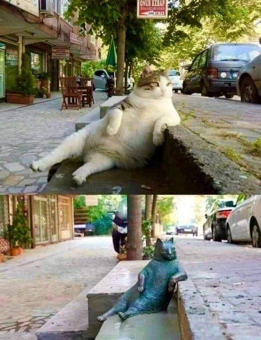 A before-and-after image shows a famous real-life cat lounging on a street curb in Turkey, and then the same scene with a bronze statue erected in its place.