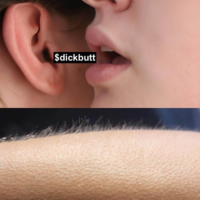 An internet meme combining an image of someone whispering in an ear with the text '$dickbutt' and a close-up of arm hair below.