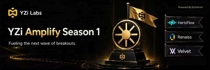 The image is a promotional banner for "YZi Amplify Season 1" by YZi Labs, featuring a golden trophy with a flag and the tagline "Fueling the next wave of breakouts," alongside three featured projects powered by EchoHunt: HertzFlow, Renaissance, and Velvet. The post relates to the image by highlighting this creator campaign as a storytelling initiative for emerging ecosystems, with the banner visually showcasing the three featured projects—HertzFlow, Renaissance (Renaiss), and Velvet—vying for breakout success.