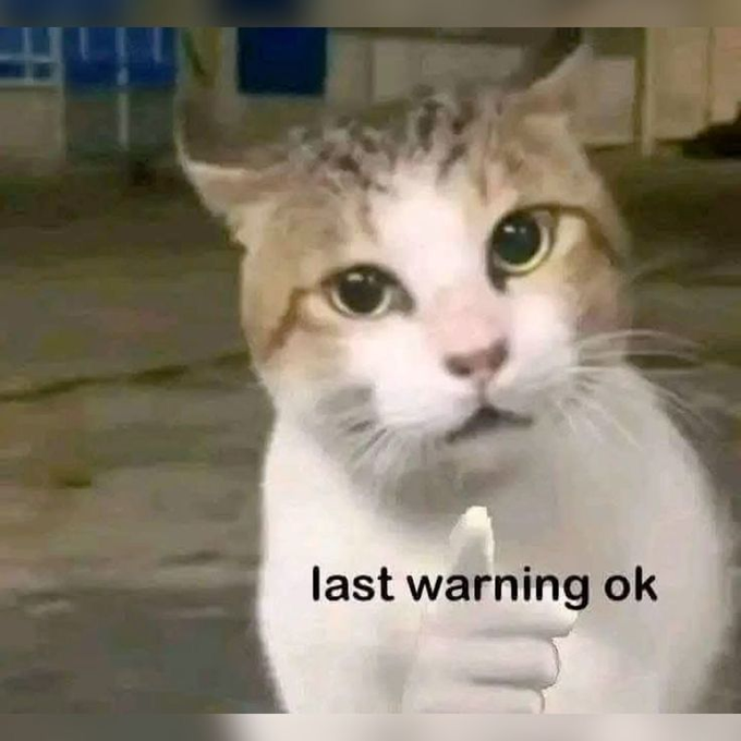 A cat with a serious expression glares directly at the camera while raising its paw in a pointing gesture, with text overlay reading 'last warning ok'.