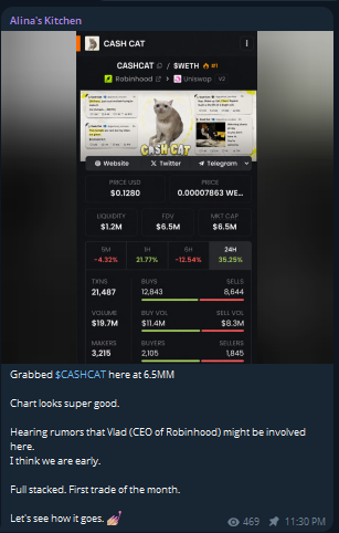 A Telegram message from "Alina's Kitchen" features a Cash Cat meme token chart on CoinGecko showing $CASHCAT paired with $WETH at a $6.5M market cap, with the post promoting $SOL trading signals and follower engagement.