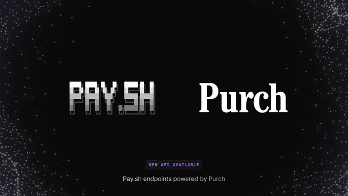 The image displays the logos "PAY.SH" and "Purch" against a black background with a sparkly border, announcing that Pay.sh endpoints are now powered by Purch for zero-signup, pay-as-you-go shopping. A note at the bottom reads "NEW API AVAILABLE."