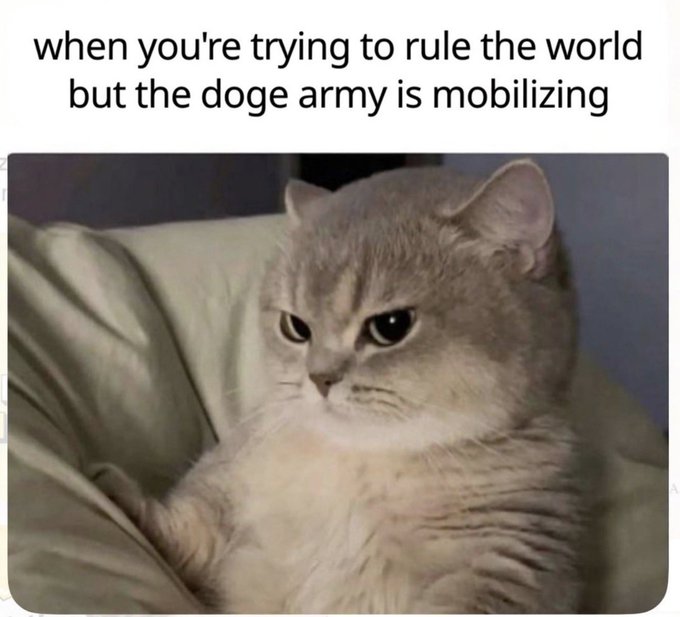A grumpy-looking cat sits on a beige couch with a stern expression, captioned "when you're trying to rule the world but the doge army is mobilizing." The image humorously captures a cat's serious, almost plotting demeanor, relating to the "Trust story" by depicting the cat as a scheming mastermind facing an unexpected threat from the playful, meme-inspired "doge army."