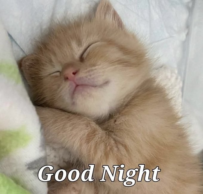 A close-up photo of an orange tabby kitten sleeping peacefully with a smile, with the text 'Good Night' overlaid at the bottom.