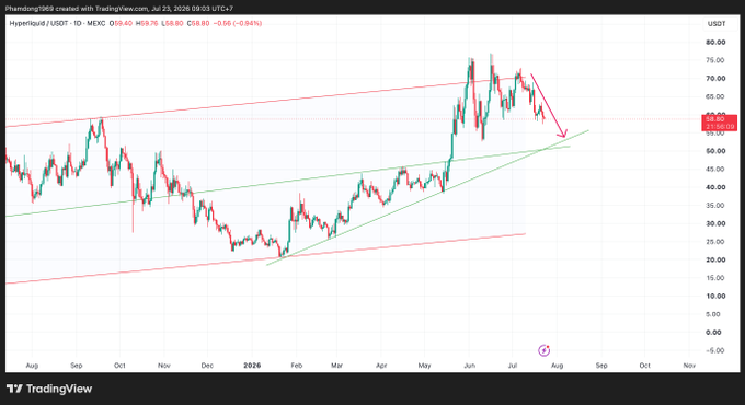A TradingView candlestick chart for Hyperliquid/USDT showing price action between roughly $25 and $80 from August 2025 through July 2026, with a red arrow indicating a downward trend at the end and text 'Phemind1969 created with TradingView.com'.