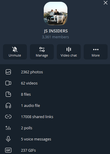 The screenshot shows a Telegram group info panel for "JS INSIDERS," a public group with 3,361 members, displaying its media contents (2,362 photos, 62 videos, 8 files, 1 audio file, 17,008 shared links, 2 polls, 5 voice messages, and 237 GIFs). The image illustrates the current state of the "JS Insiders" Telegram group mentioned in the post, which is being temporarily made public for 24 hours before returning to private.