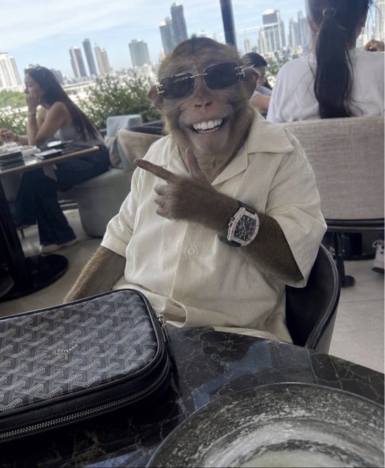 A monkey wearing sunglasses, a white shirt, and a luxury watch sits at an outdoor cafe table, smiling widely and pointing, with a Goyard wallet and a city skyline in the background.