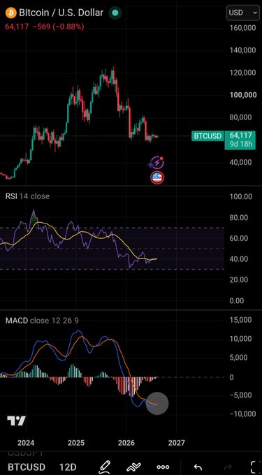 A TradingView chart of Bitcoin/U.S. Dollar (BTCUSD) showing price at 64,117, with RSI 14 and MACD indicators displayed below.