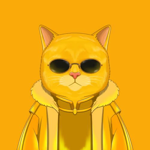 An illustration of an orange tabby cat wearing sunglasses and a yellow jacket with a fur collar against a solid orange background.