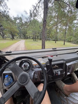 A view from inside an off-road vehicle or buggy, showing the steering wheel and dashboard, with a hand on the gear shift and a grassy, tree-lined dirt path ahead.