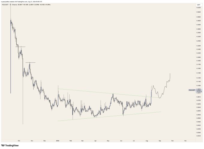 A daily candlestick chart of $HOLO/USD (Holocoin) from TradingView spanning October 2023 through late 2024, showing a steep decline from highs near 0.5500 followed by a tightening symmetrical triangle pattern between 0.8500 and 0.9500 that recently broke out upward to 0.0946. The breakout from the multi-month consolidation visually supports the post's claim that the chart looks promising.