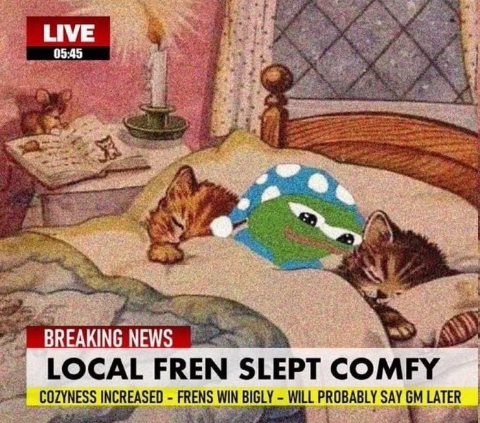 A whimsical illustration styled as a breaking news broadcast with a 'LIVE 05:45' tag, showing two kittens sleeping with a blue mushroom plush toy, captioned 'BREAKING NEWS: LOCAL FREN SLEPT COMFY - COZyness INCREASED - FRENs WIN BIGLY - WILL PROBABLY SAY GM LATER'.
