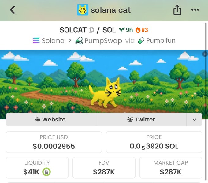A screenshot of the "solana cat" ($SOLCAT) token page showing a price of $0.0002955, FDV of $287K, market cap of $287K, and liquidity of $41K, with a pixelated yellow cat illustration in a green field—visually referencing the post's claim that $SOLCAT hit a $320K market cap milestone.