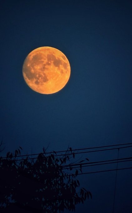 A glowing orange full moon dominates a deep blue night sky, framed by silhouetted tree branches and power lines below, evoking the vastness and ambition of space exploration referenced in the post about a potential moon mission with the XRP ticker.
