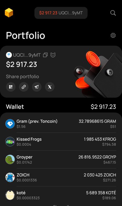 A cryptocurrency portfolio screenshot showing a total balance of $2,917.23, with wallet holdings including Gram (Toncoin) at $51, Kissed Frogs (KFROG) at $794.58, Groyper (GROYP) at $467.15, ZOICH at $271.26, and koté (KOTÉ) at $189.06.