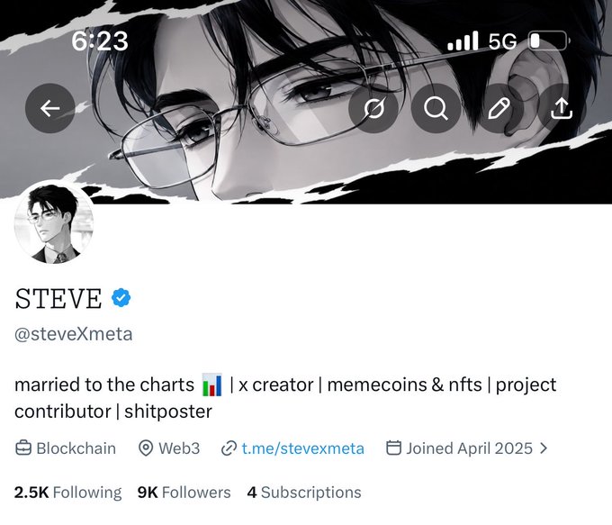 Twitter/X profile page for 'STEVE' (@steveXmeta), a verified user with bio 'married to the charts 📊 | x creator | memecoins & nfts | project contributor | shitposter', showing 9K followers.