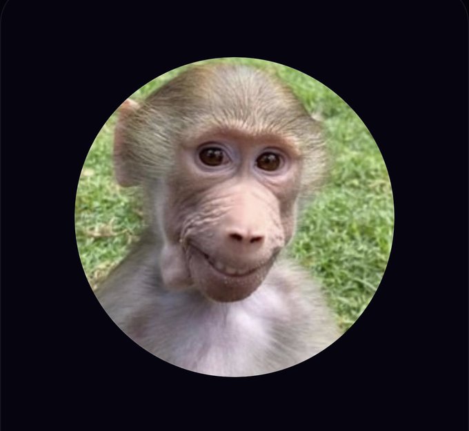 A close-up circular profile picture of a smiling young monkey with a pinkish face and light brown fur, set against a grassy background. The image appears to serve as the avatar for the wallet address "0x8f69fadecdbd632ef2dcbd32e3d3fcf76dae8fcb" labeled "$PUBERT."
