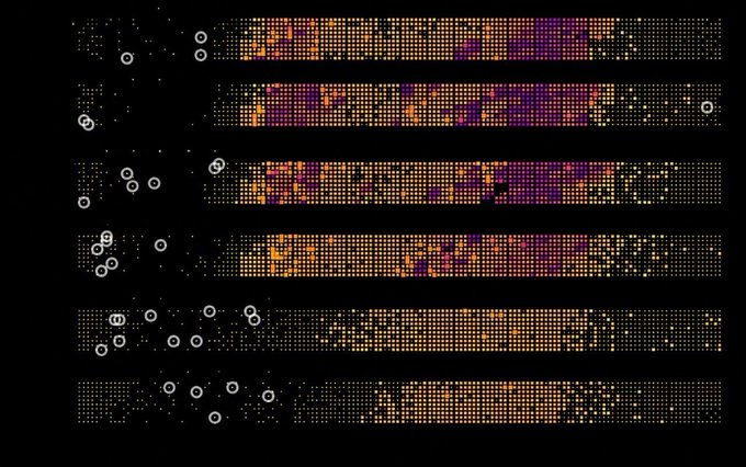A dark visualization displaying multiple horizontal rows of dense orange and purple data points with small circles marking specific positions.