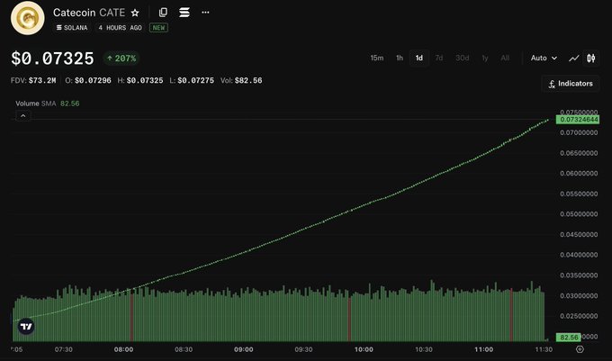 A TradingView chart for the 'Catecoin CATE' token on the SOLANA network, showing a 207% price increase to $0.07325, with FDV of $73.2M, a green volume SMA of $2.56, and a steadily rising price line on the intraday chart.