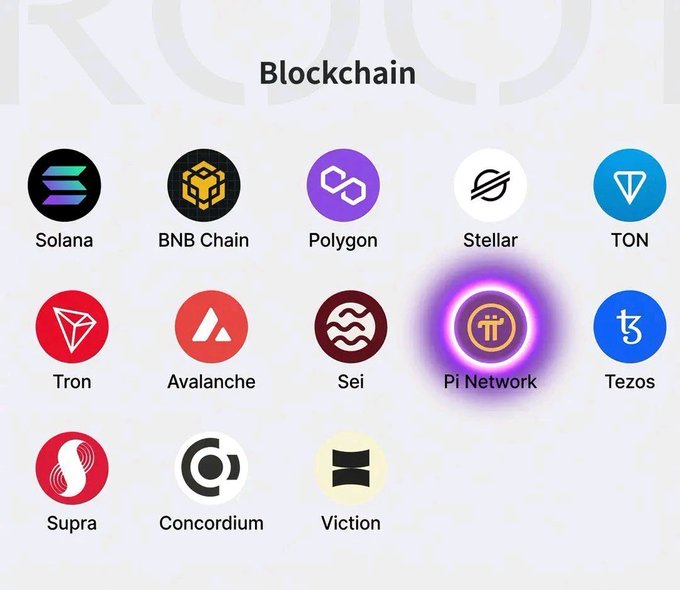 The image displays a grid of blockchain logos—including Solana, BNB Chain, Polygon, Stellar, TON, Tron, Avalanche, Sei, Pi Network, Tezos, Supra, Concordium, and Viction—with Pi Network highlighted to emphasize its unique position among major blockchain platforms. The highlighted Pi Network logo visually reinforces the post's message that Pi represents a new kind of blockchain ("Web3 meets Web4") built for everyday users rather than just crypto whales.