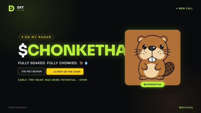The image is a promotional graphic from "DXT Calls" featuring the meme token $CHONKETHA, labeled "ON MY RADAR" with playful tags like "THE WET BEAVER" and "CUTEST ON THE CHAIN," alongside a cartoon beaver mascot illustration. The graphic reinforces the post's bullish sentiment by emphasizing the token's early-stage meme potential and the caller's ongoing confidence in its momentum.