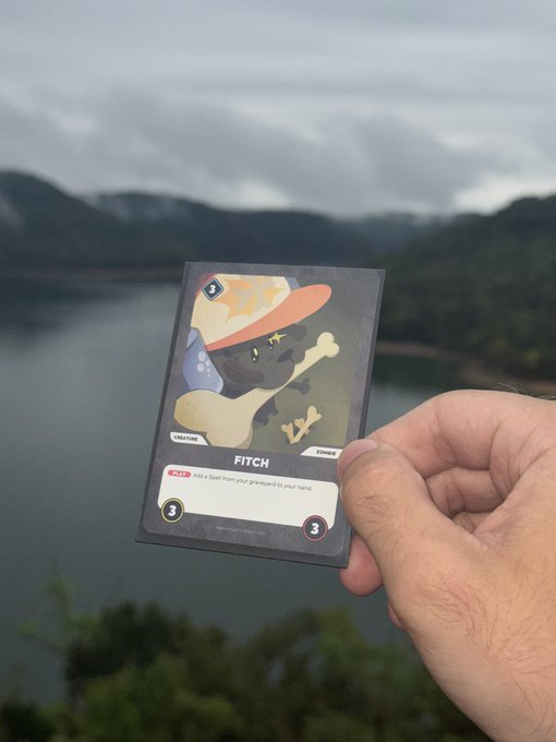 A hand holds a trading card labeled 'FITCH' featuring a cartoon character, with a scenic background of a lake and mountains.
