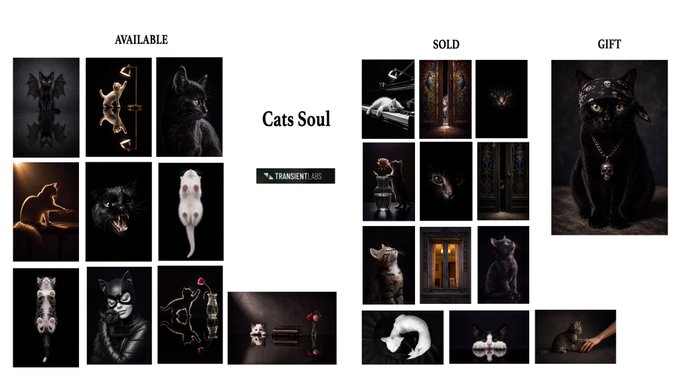 A digital art collection page titled 'Cats Soul' by 'TRANSIENTL.ABS', displaying grids of cat-themed art under 'AVAILABLE', 'SOLD', and 'GIFT' categories.