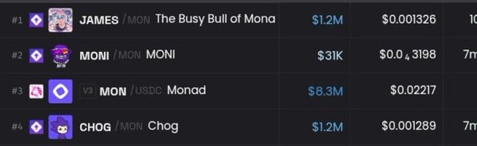 A cryptocurrency leaderboard listing top tokens by market cap on the Monad network, including JAMES ($1.2M), MONI ($31K), MON ($8.3M), and CHOG ($1.2M).