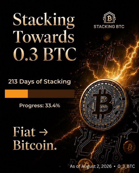 A graphic titled 'Stacking Towards 0.3 BTC' with text '213 Days of Stacking', 'Progress: 33.4%', and 'Fiat → Bitcoin.' next to a glowing Bitcoin logo. It notes 'As of August 2, 2026 • 0.3 BTC' and includes a 'STACKING BTC' logo.