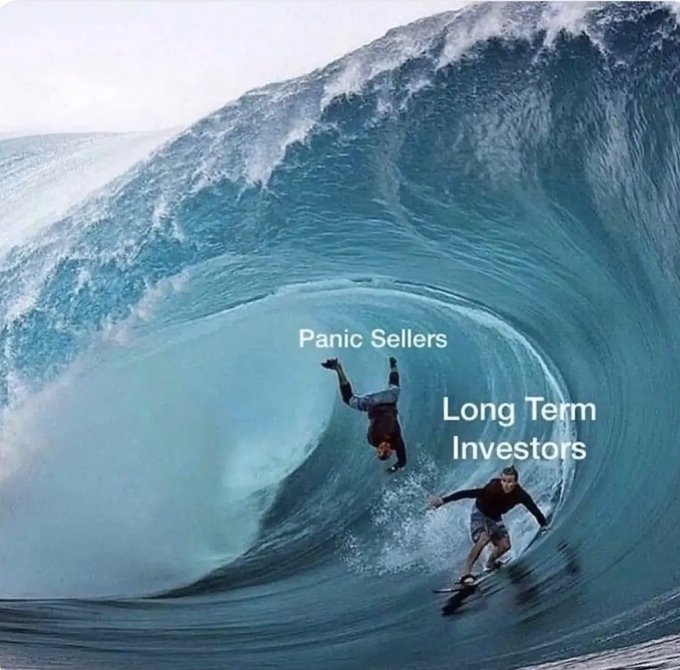 A dramatic ocean wave crashes over two surfers, labeled "Panic Sellers" (the one being tumbled upside down) and "Long Term Investors" (the one calmly riding the wave), illustrating an investing metaphor about riding out market volatility.