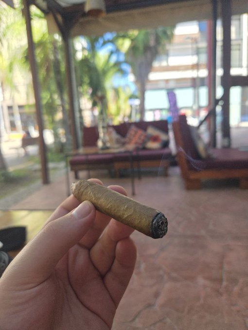 A hand holds a cigar in the foreground with a blurred outdoor patio, wooden furniture, palm trees, and a tiled floor in the background.