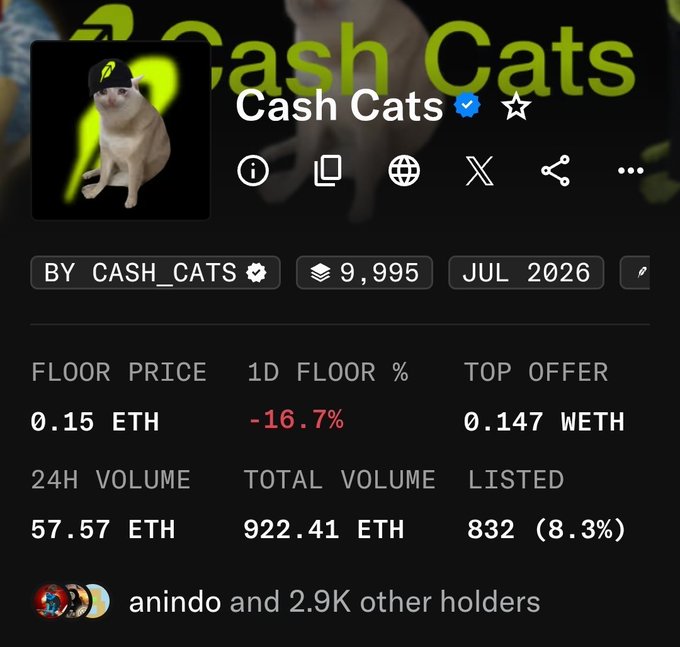 A cryptocurrency/NFT collection page titled 'Cash Cats' showing a floor price of 0.15 ETH, with -16.7% change, 24H volume of 57.57 ETH, and noting 'anindo and 2.9K other holders'.