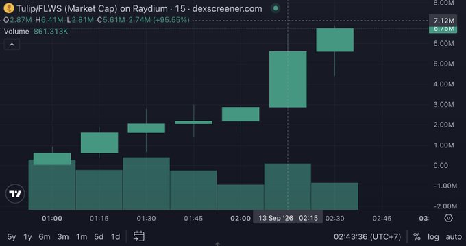A candlestick chart from dexscreener.com tracks the Tulip/FLWS token on Raydium, showing a market cap increase of 95.55% with prices ranging from H2.74M to L2.81M.
