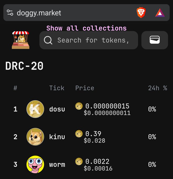 A dark-mode web interface for 'doggy.market' shows a 'DRC-20' collection list featuring tokens 'dosu' (#1), 'kinu' (#2), and 'worm' (#3) with their respective prices.