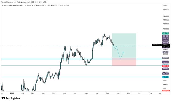 A TradingView chart for the HYPE/USDT perpetual contract shows price action rising from early 2024 into a peak near 110 before pulling back. The chart highlights a proposed spot-bid zone at 59.56–54.9, with a pink invalidation area below 50.54, matching the post’s swing-trade plan and 5% portfolio risk.