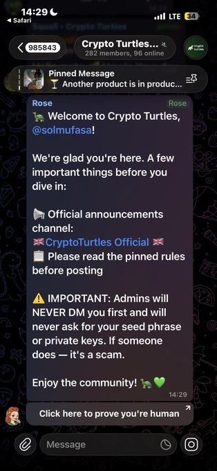 A screenshot of a Telegram chat for 'Crypto Turtles' welcoming a new member and providing community rules and scam warnings.