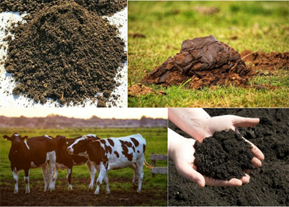 The image is a four-panel collage showing: (1) composted manure, (2) fresh cow manure in a field, (3) cows in a pasture, and (4) hands holding dark, rich soil. It humorously illustrates the post's tongue-in-cheek ranking of "$BULLSHIT" categories, pairing each option with its corresponding visual—from fresh cow patties to fully decomposed, dirt-like compost.