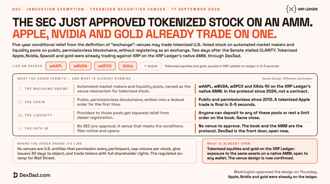 An infographic from DexDad dated 17 September 2020 announcing 'THE SEC JUST APPROVED TOKENIZED STOCK ON AN AMM. APPLE, NVIDIA AND GOLD ALREADY TRADE ON ONE,' detailing tickers wAAPL, wNVDA, wSPCX, and XAUa on the XRP Ledger.