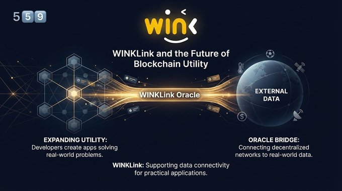 An infographic titled 'WinKLink and the Future of Blockchain Utility' showing 'WINKLink Oracle' connecting blockchain networks to 'EXTERNAL DATA', with sections on 'EXPANDING UTILITY' and 'ORACLE BRIDGE'.