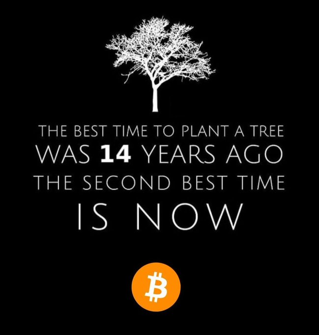 An inspirational quote graphic on a black background featuring a white tree illustration and text reading 'THE BEST TIME TO PLANT A TREE WAS 14 YEARS AGO THE SECOND BEST TIME IS NOW' with a Bitcoin logo at the bottom.
