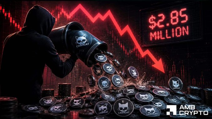 A dramatic crypto-themed image showing a hooded figure pouring CasHcat tokens from a bucket, with a red downward price chart arrow and '$2.85 MILLION' displayed, branded by AMB Crypto.