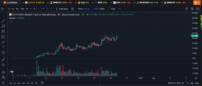A trading chart of CETS/XAUT on PancakeSwap via dexscreener.com shows the token's price hovering around 22,496 with a 24-hour change of +18.83% (high of 23,500 and low of 18,576), with volume at 109.355K. The price action illustrates a sharp pump-and-dump pattern with volatile swings, visually supporting the claim that the highlighted accounts attract "delusional bulls" to coins that experience artificial price spikes.