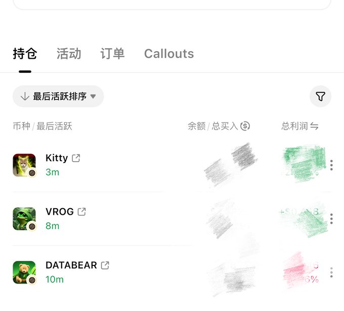 A mobile app interface (in Chinese) showing a 'Holdings' tab with a list of meme tokens like Kitty, VROG, and DATABEAR, with values obscured by scribbles.