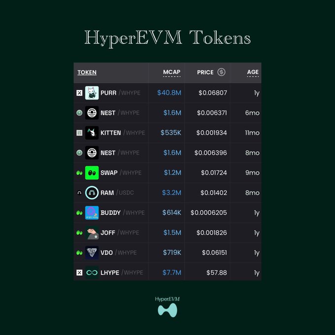 A dark-themed digital dashboard titled 'HyperEVM Tokens' listing cryptocurrencies with their MCAP, PRICE, and AGE, including entries for NEST /WHYPE, KITTEN /WHYPE, PURR /WHYPE, SWAP /WHYPE, RAM /USDC, BUDDY /WHYPE, JOFF /WHYPE, VDO /WHYPE, and LHYPE /WHYPE.