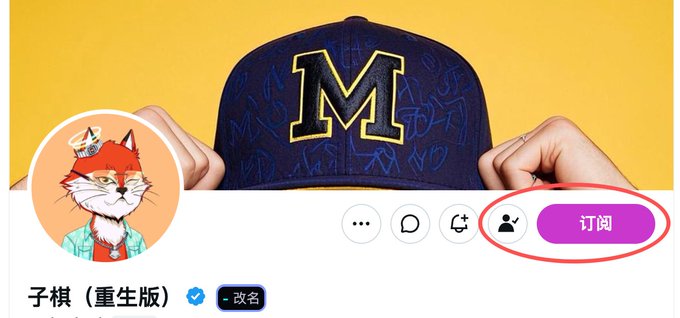 A profile header for a user named '子棋 (重生版)' shows an illustration of a cat wearing a hat, with a pink '订阅' (Subscribe) button circled in red.